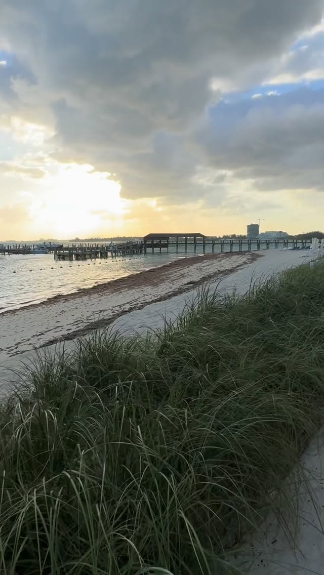 Home Page Tim DeBellis