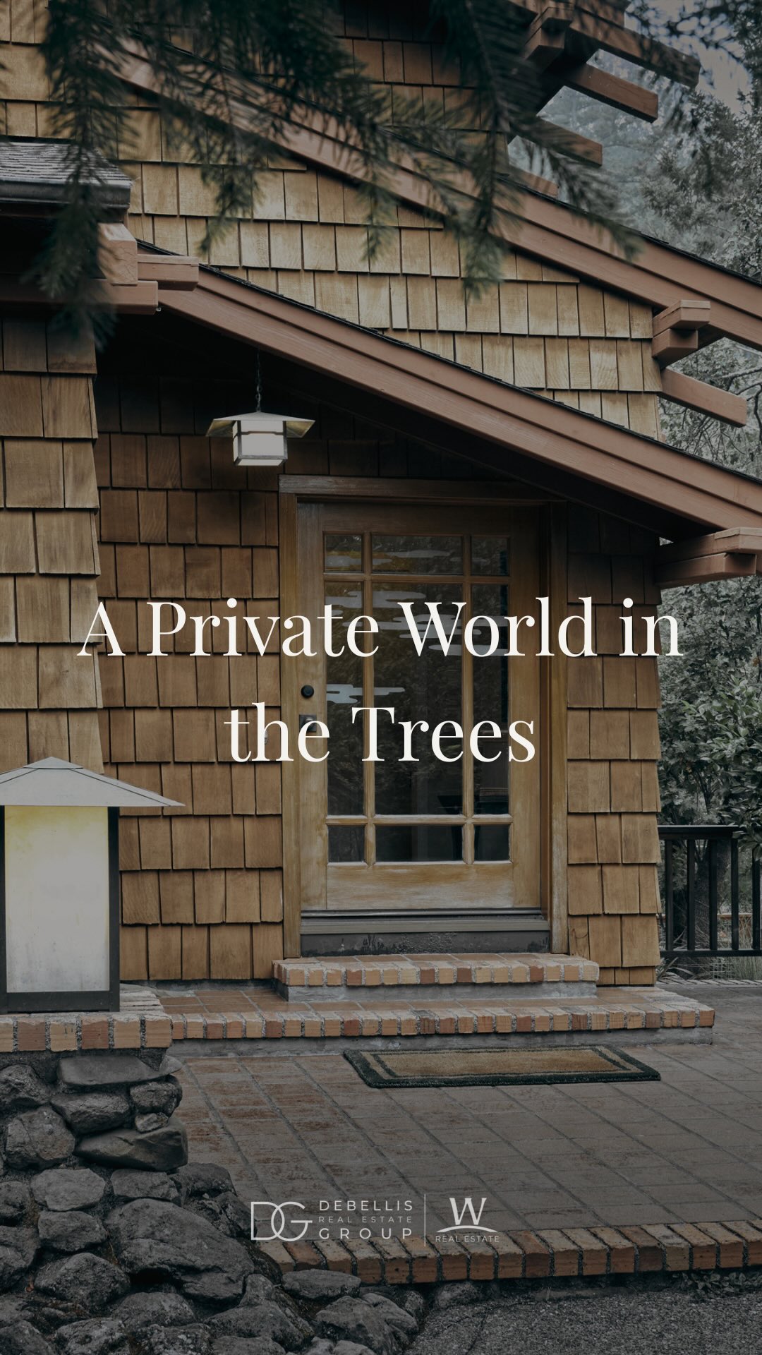 Home Page Tim DeBellis